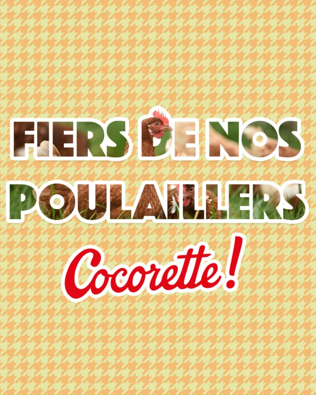 🐔 Cocorette revient avec un nouveau look. Même passion. Plus engagé que jamais 💛

Chez Cocorette, on croit aux belles histoires :
 📍 Celles de nos éleveurs
 🐣Celles du bien-être animal
 🥚Celles d’œufs produits avec cœur et respect, la fierté de nos poulaillers !Nos poulaillers, c’est plus qu’un lieu : c’est un engagement. 
🔥Et si vous veniez (re)découvrir ce qu’on vous prépare sur notre site (lien en bio) 

#FiersDeNosPoulaillers #ElevageResponsable #MarqueEngagée #BienÊtreAnimal #Poulaillers #Cocorette #Oeufs